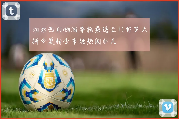 切尔西利物浦争抢桑德兰门将罗夫斯今夏转会市场热闹非凡